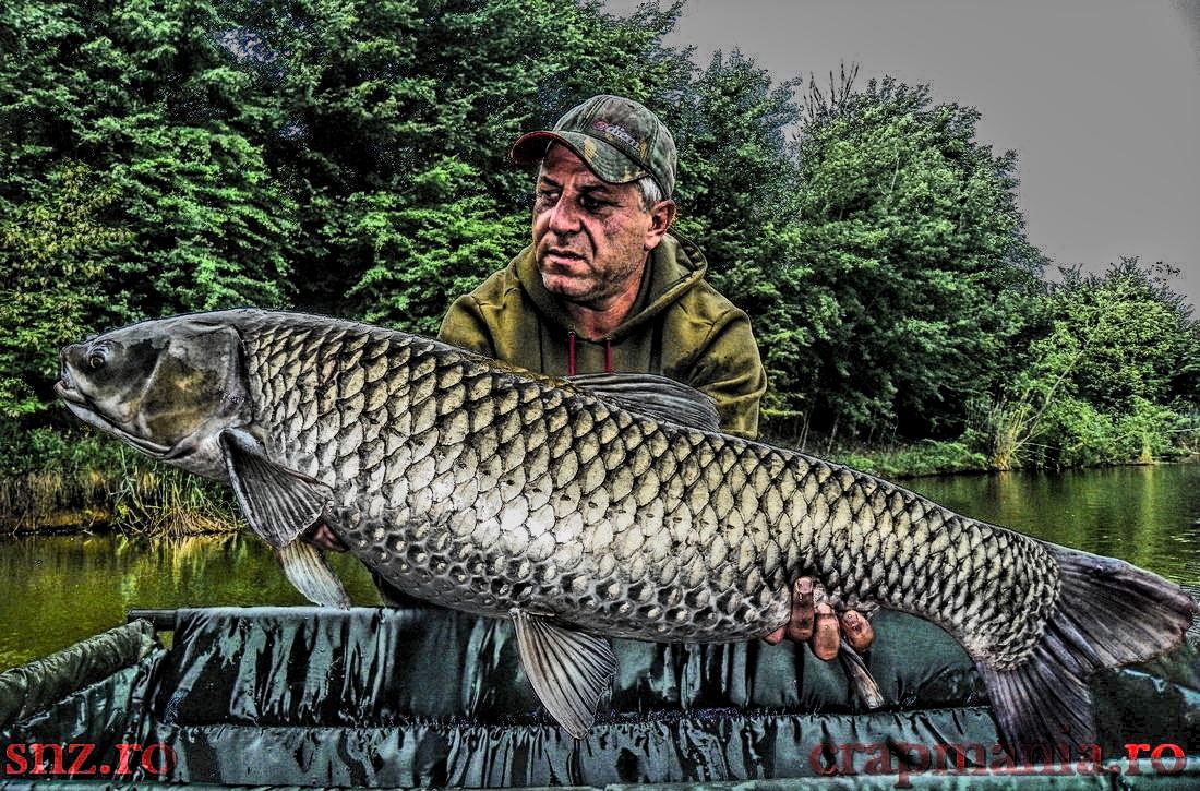 Crapmania (3) - 2013 - 1010421-2hdrmode2.JPG